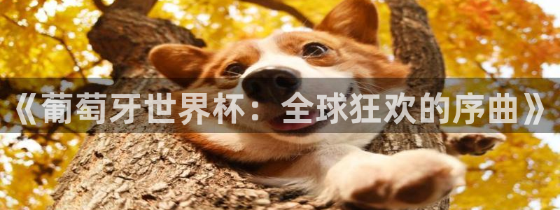 2026足球世界杯:《葡萄牙世界杯:全球狂欢的序曲》