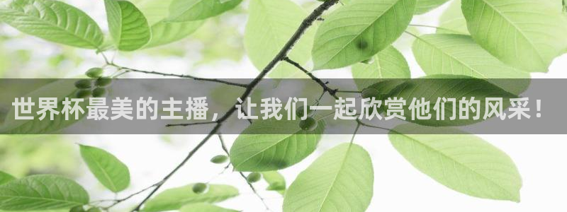 足球世预赛:世界杯最美的主播,让我们一起欣赏他们的风采!