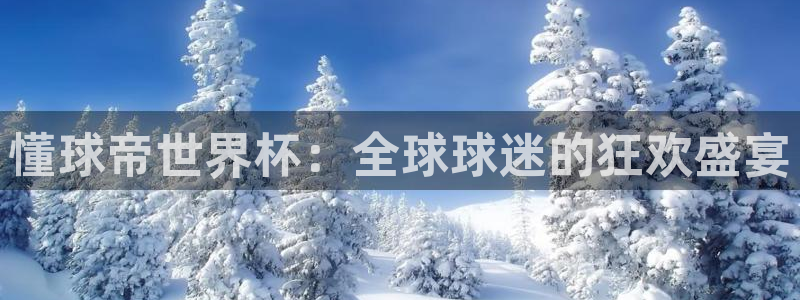 2026世界杯赛程时间表最新:懂球帝世界杯:全球球迷的狂欢盛宴