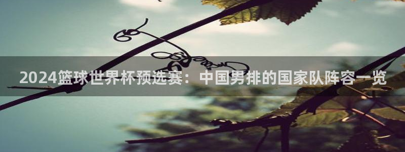 2026世界杯赛:2024篮球世界杯预选赛:中国男排的国家队阵容一览