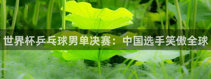 世界杯葡萄牙赛程:世界杯乒乓球男单决赛:中国选手笑傲全球