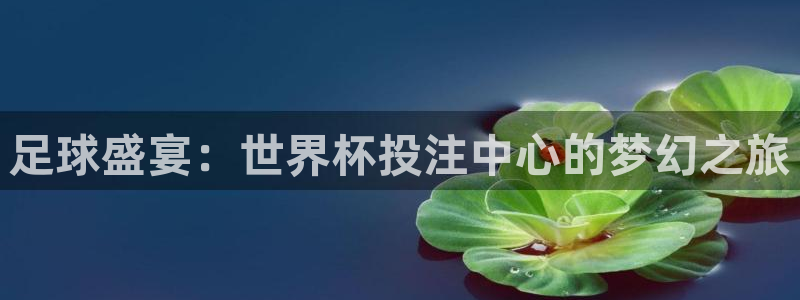 世预赛免费直播入口:足球盛宴:世界杯投注中心的梦幻之旅